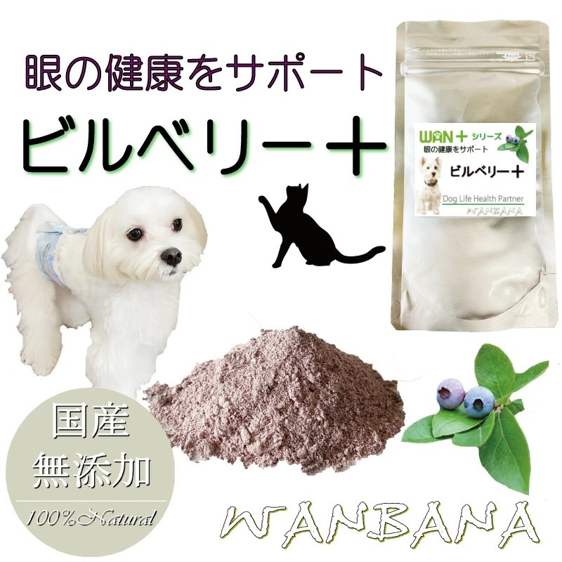 ビルベリープラス 犬猫用サプリメント 40g