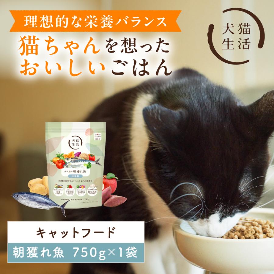 犬猫生活 キャットフード オールステージ 金沢港の朝獲れ魚味